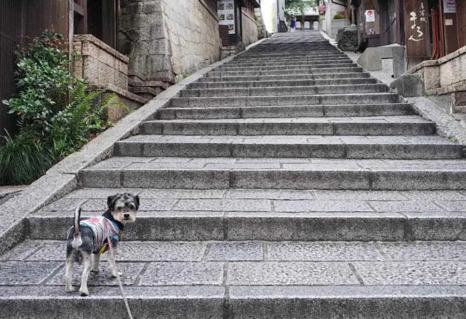 Hanakiya Kyoto Dış mekan fotoğraf